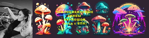СК Волоколамск