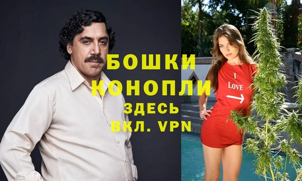 ECSTASY Волосово