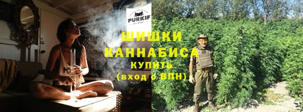 СК Волоколамск