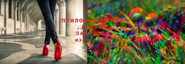 СК Волоколамск