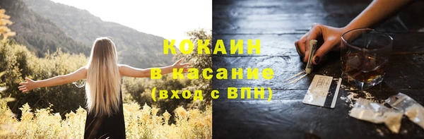 шишки Вяземский